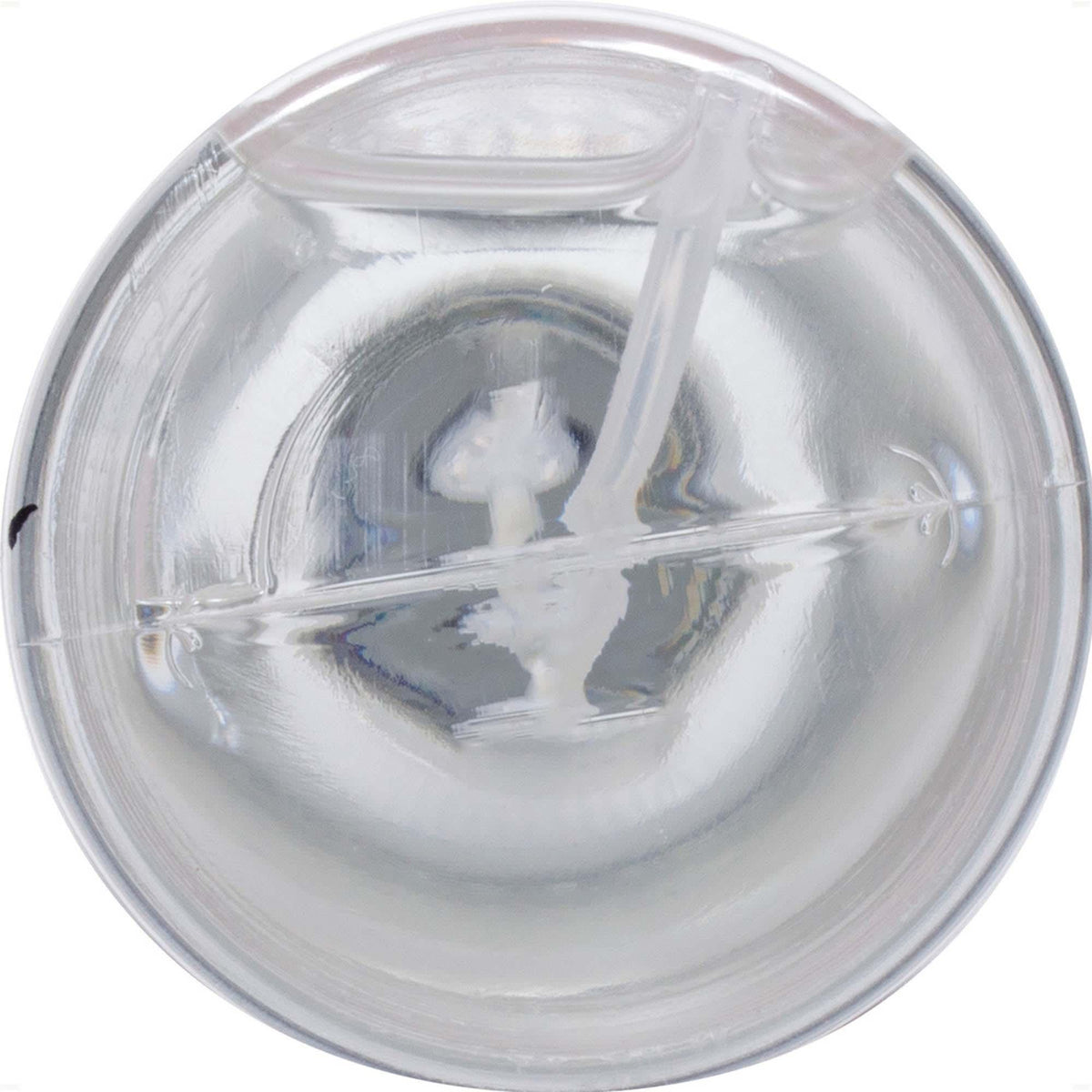 Butterfly Cure Water Mini