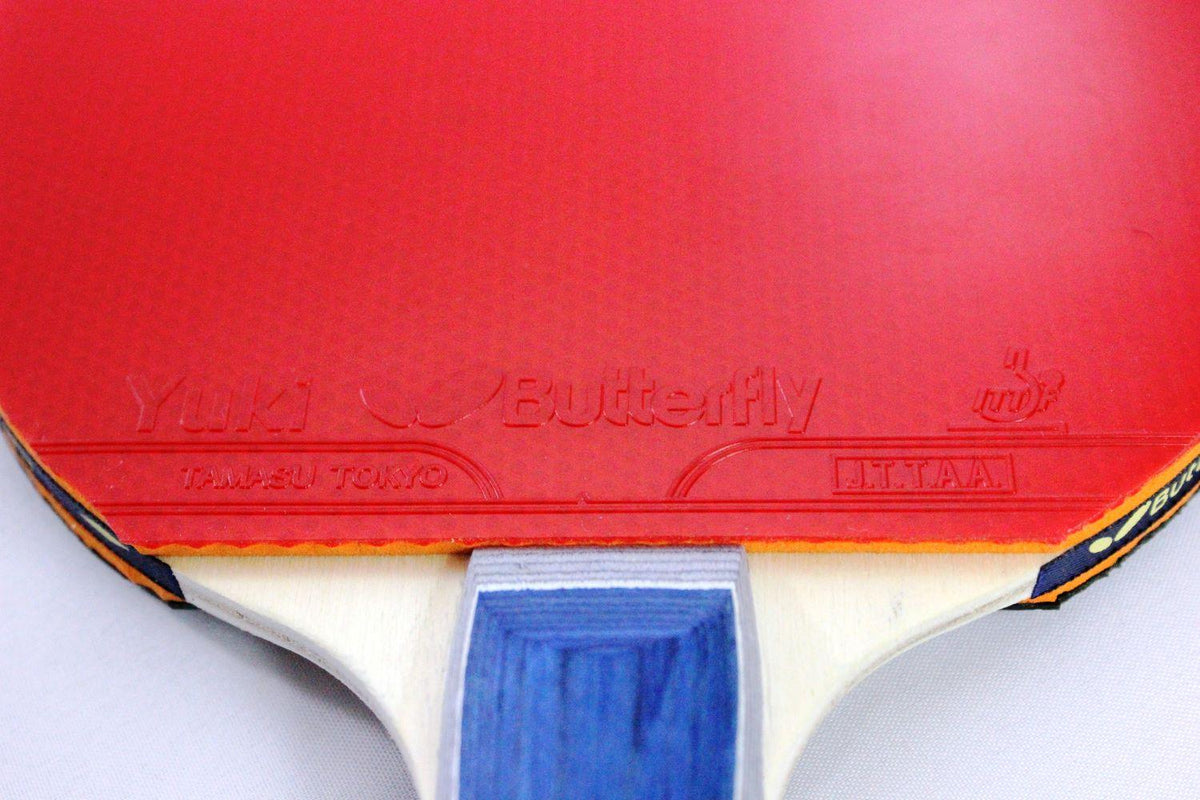 Butterfly Bty 201 FL Racket Set