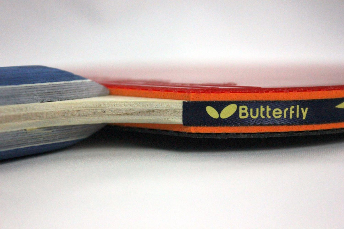 Butterfly Bty 201 FL Racket Set