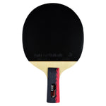 Butterfly Bty 303 CS Racket Set