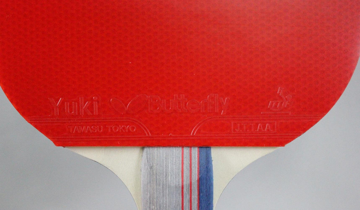 Butterfly Bty 401 FL Racket Set