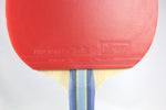 Butterfly Bty 501 FL Racket Set