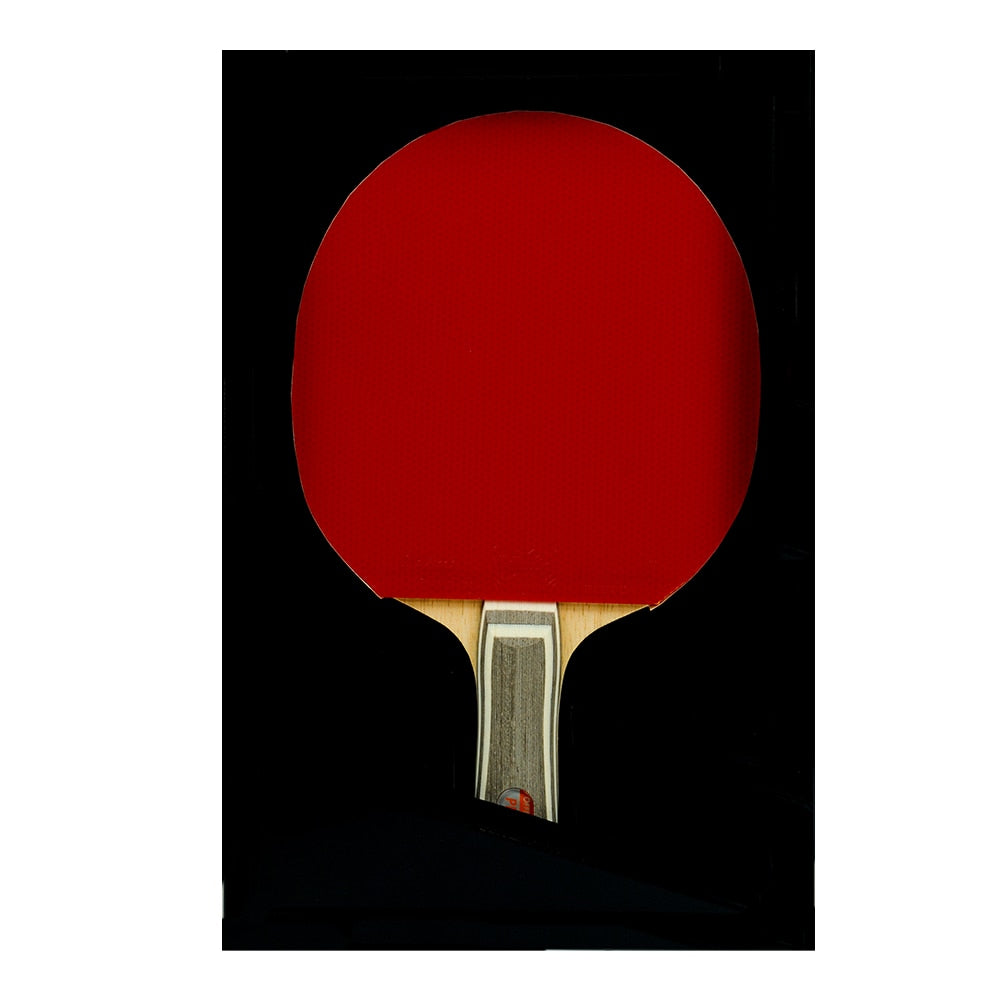 Butterfly Petr Korbel FL Pro-Line with Sriver Racket