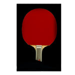 Butterfly Petr Korbel FL Pro-Line with Sriver Racket