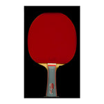Butterfly Primorac Carbon FL Pro-Line with Tenergy 05 Racket