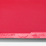 Butterfly Ilius B Rubber