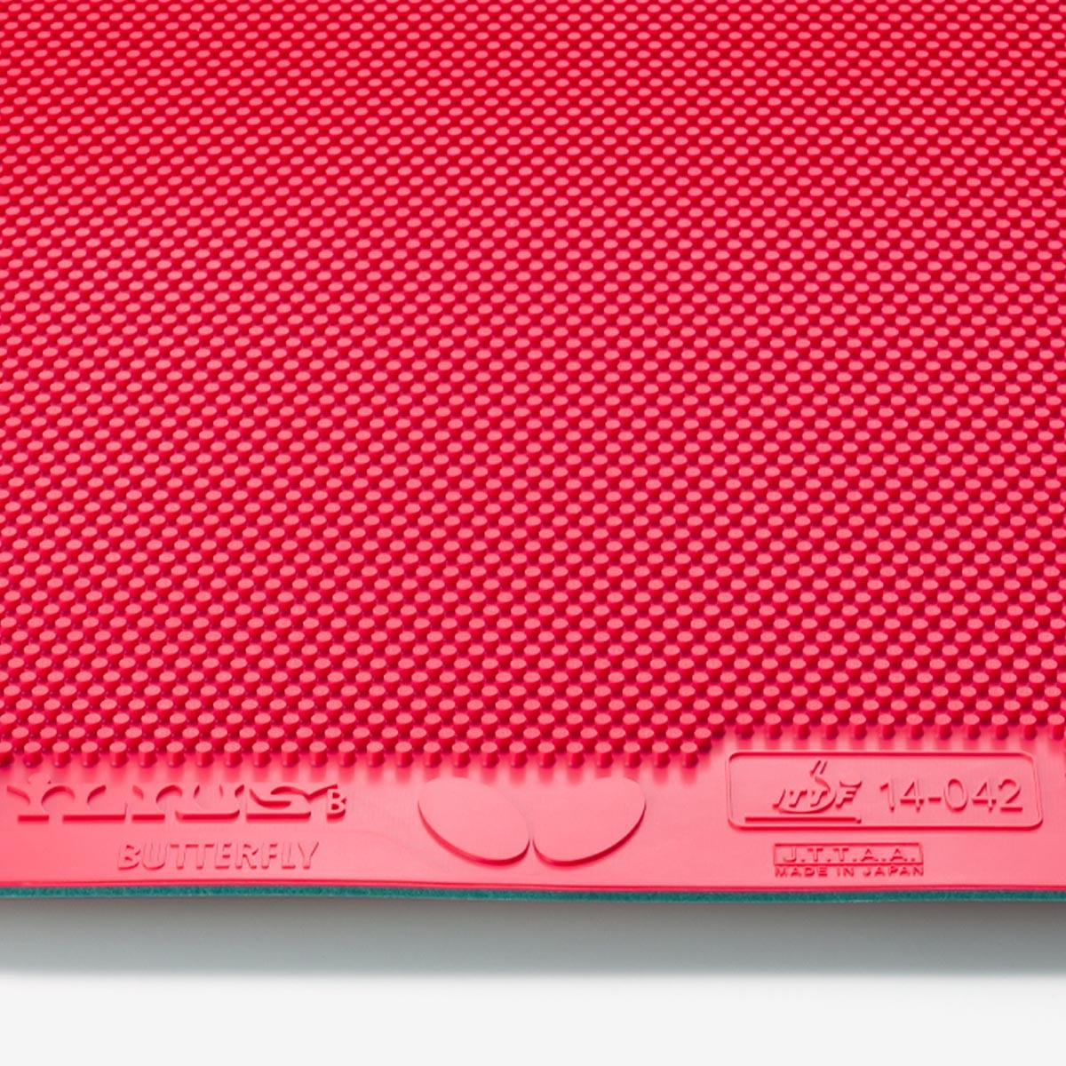 Butterfly Ilius B Rubber