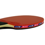 Butterfly Timo Boll 3000 Racket