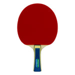 Butterfly Wakaba 1000 Racket