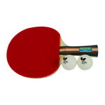Butterfly Wakaba 2000 Racket