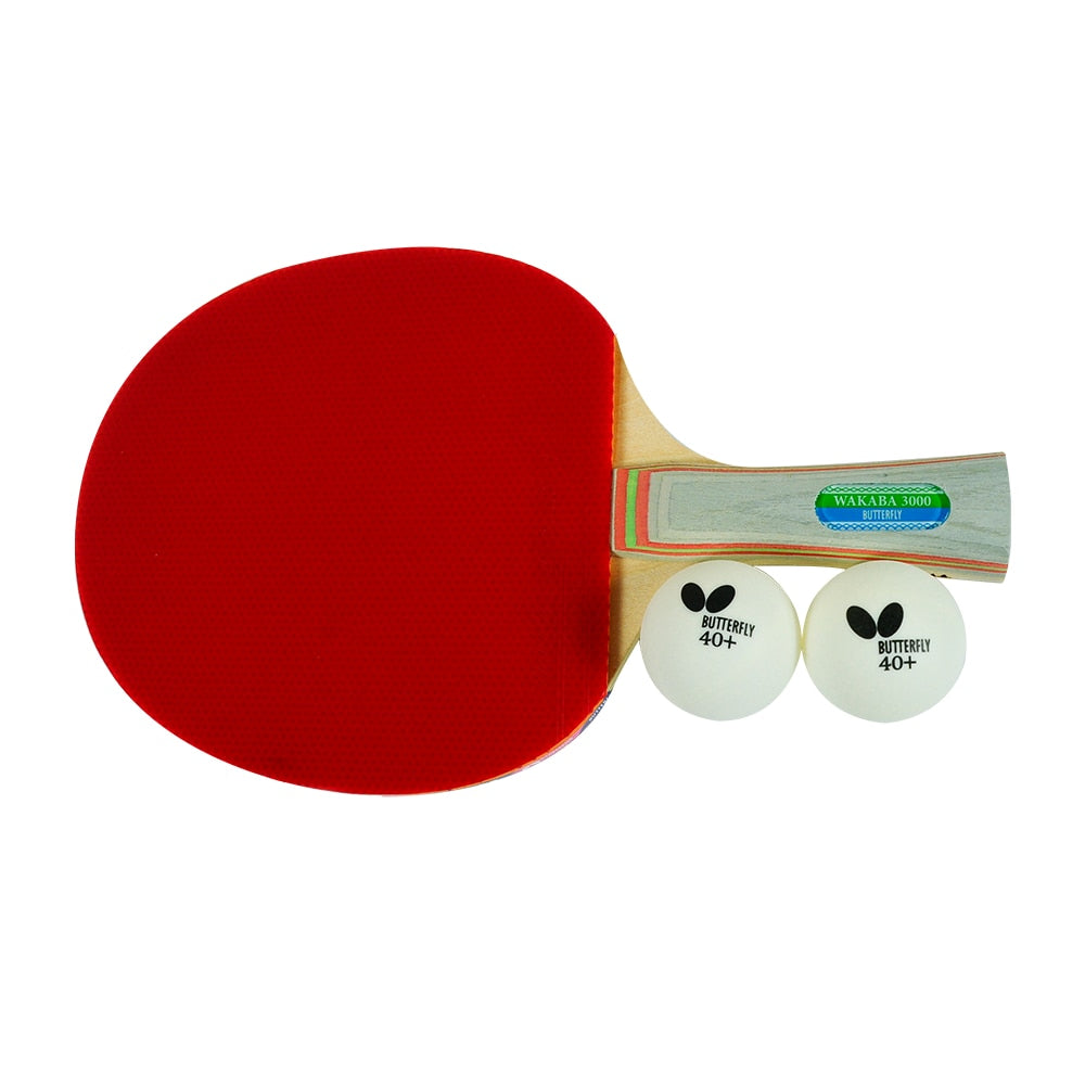 Butterfly Wakaba 3000 Racket